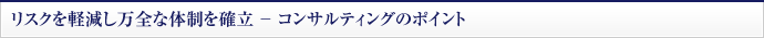 リスクを軽減し万全な体制を確立 - コンサルティングのポイント